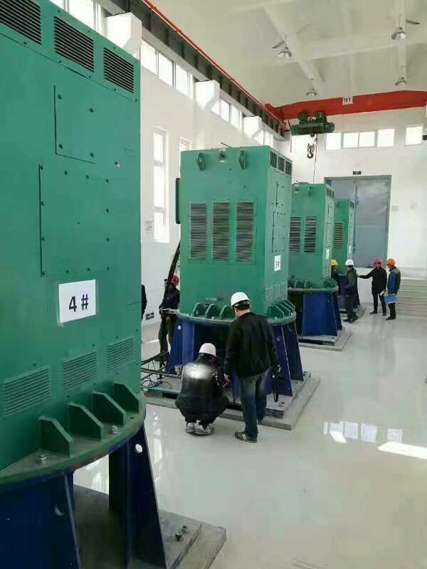 梅里斯达斡尔族某污水处理厂使用我厂的立式高压电机安装现场