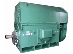 梅里斯达斡尔族Y系列6KV高压电机